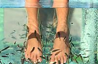 Pierwsze Fish SPA w Legionowie. Wygraj zaproszenie