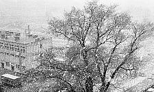 Tarchomin '80. Nieznane fotografie sprzed 30 lat