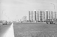 Czterdzieści lat minęło. Kultowa linia Bródna?