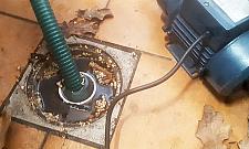 Rekordowo wysokie wody gruntowe. Zalewa piwnice