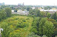 Zarośnięte pole to zabytek? Spór o działkę na Woli