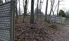 Cmentarz pod lupą prokuratury. Nowy proboszcz chce zgody