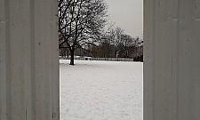 Wawrzyszew płotem podzielony. "Proszę nie niszczyć"