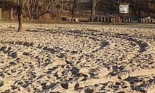 Plaża Romantyczna zdewastowana. "Niespotykane warcholstwo"