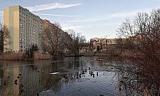 Bielany jak Ciechocinek? Szansa na dwie tężnie