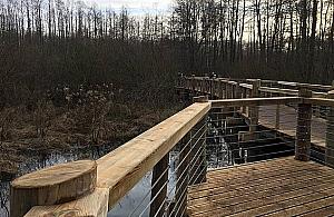 Pomost powrócił na Łosiowe Błota. "Rezerwat to nie zoo"