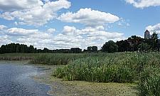 Jezioro w Wieliszewie wypięknieje. Odmulą, pogłębią i powiększą