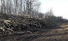 Żałoba nad Kanałem. "Masakra, rzeź, tragedia"