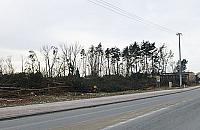 Dzieło zniszczenia dla strażaków. "Ten lasek sadzili uczniowie"