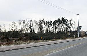 Dzieło zniszczenia dla strażaków. "Ten lasek sadzili uczniowie"