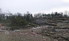 Dzieło zniszczenia dla strażaków. "Ten lasek sadzili uczniowie"