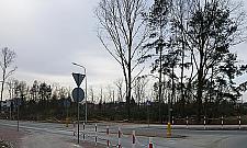 Dzieło zniszczenia dla strażaków. "Ten lasek sadzili uczniowie"