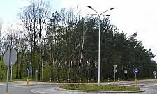 Dzieło zniszczenia dla strażaków. "Ten lasek sadzili uczniowie"