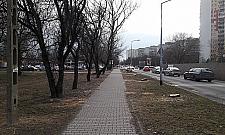 Kolejna wycinka starych drzew. Tym razem na Kwitnącej