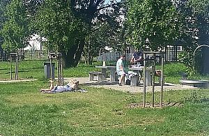 Koniec piwa pod chmurką. Potrzebne wyjątki?