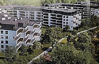 Koniec lasku przy hucie. "To barbarzyństwo"