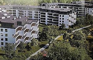 Koniec lasku przy hucie. "To barbarzyństwo"