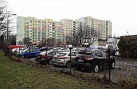 "Jelonki na jednym obrazku". Mamy problem?