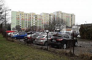 "Jelonki na jednym obrazku". Mamy problem?