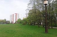 W parku Olszyna mógł stanąć 11-piętrowy blok. Niewiele brakowało