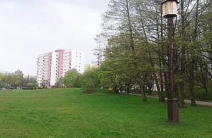 W parku Olszyna mógł stanąć 11-piętrowy blok. Niewiele brakowało