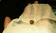 Ktoś strzela do kotów pod mostem Grota. "Chciałoby się krzyczeć"