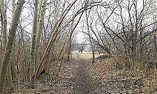 Nowy park dla Tarchomina. "Przywróćmy stawy"