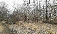 Nowy park dla Tarchomina. "Przywróćmy stawy"