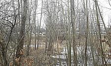 Nowy park dla Tarchomina. "Przywróćmy stawy"