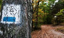 Trasy rowerowe Wawra. Dla amatorów i zawodowców