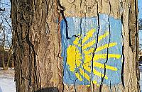 Pielgrzymka od Jakuba do Jakuba. Wycieczka średniowiecznym szlakiem