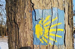 Pielgrzymka od Jakuba do Jakuba. Wycieczka średniowiecznym szlakiem