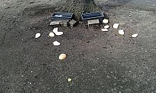 Koniec żerowisk między blokami? Wrzeciono na pierwszy ogień