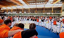 Znakomite Lemury. "Przygoda i kształtowanie charakteru"