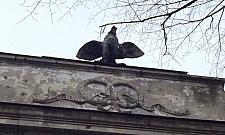 Willa Pod Kogutkiem straciła... kogutka. "To kradzież"