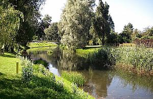 Kładka "powiększy" Kępę Potocką. Potrzebujemy więcej?