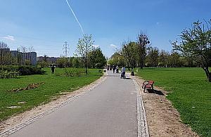 Spory w parku Górczewska. Rozdzielić pieszych i rowerzystów?