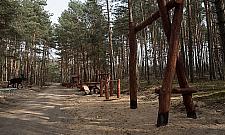 Park leśny na Olesinie już prawie gotowy