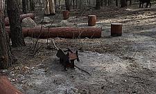 Park leśny na Olesinie już prawie gotowy