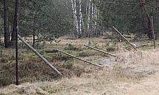 Lasy Choszczówki niebezpieczne dla zwierząt? Winni ludzie