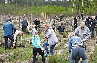 Dbają o płuca Mazowsza. Posadzili las w Rajszewie