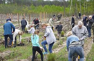 Dbają o płuca Mazowsza. Posadzili las w Rajszewie
