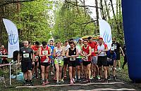 Bieg po Z�ote Jab�ko. Trwaj� zapisy