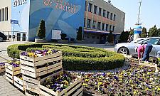 Sala koncertowa na Zaciszu. "Spełnienie marzeń"