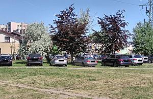 Przyjeżdżają na komunię, parkują w parku