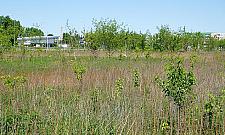 Leroy Merlin ma pozwolenie na budowę w Jabłonnie