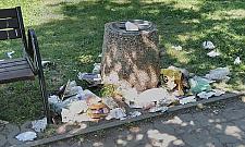 Tak grilluje Bemowo. Kto posprząta w parkach?