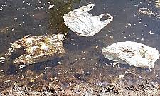 Tak grilluje Bemowo. Kto posprząta w parkach?