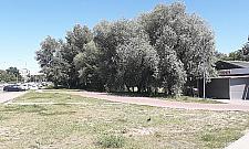 Nowy park dla Tarchomina. Przed nami konsultacje