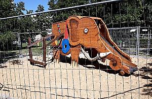 Słoń bliźniak zawitał nad Stawy Brustmana